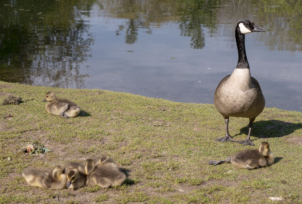 Saint Johns Conservation Area | 3101 Barron Rd, Fonthill, ON L0S 1E6, Canada | Phone: (905) 788-3135