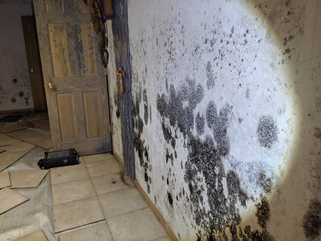 Smart: Mold & Water Restoration | 600 Ogden Ave #c, Hinsdale, IL 60521, USA | Phone: (847) 235-9729