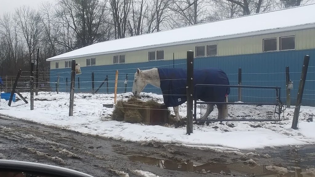 New Horizon Stables | 586 Pearse Rd, Schenectady, NY 12309, USA | Phone: (518) 698-3391