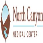 North Canyon Orthopedics | 2167 Village Park Ave Ste 200, Twin Falls, ID 83301, United States | Phone: (208) 735-3728