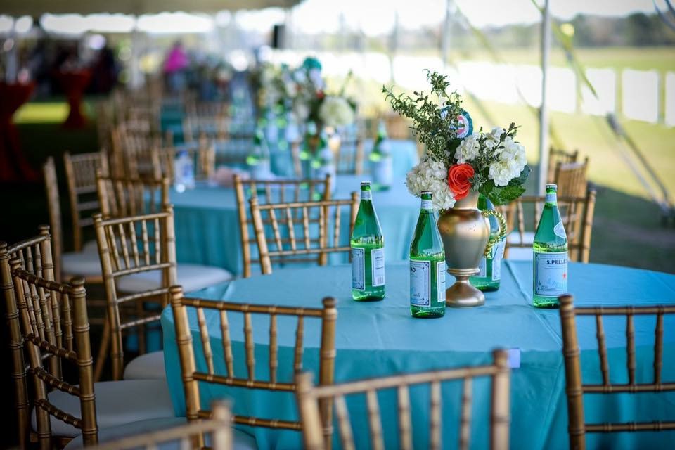 Elite Events & Rentals, LLC | 13818 Wright Cir, Tampa, FL 33626, USA | Phone: (727) 791-7082