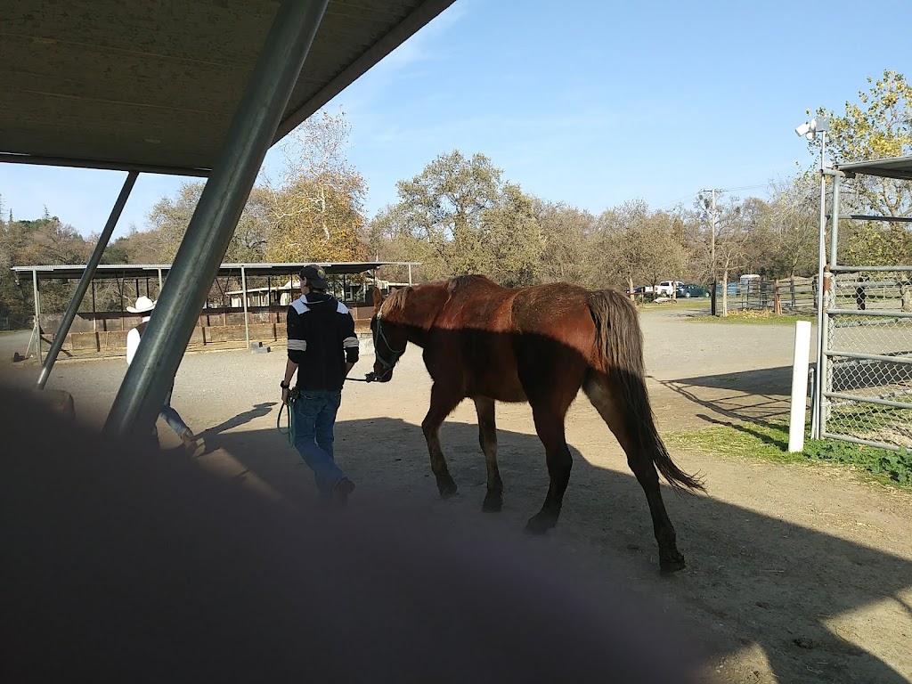 Shadow Glen Family Stables | include rates, 4854 Main Ave, Fair Oaks, CA 95628 | Phone: (916) 989-1826