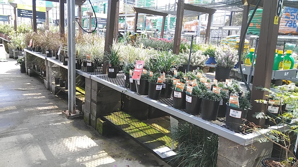 Garden Center at The Home Depot | 6110 Lemmon Ave, Dallas, TX 75209, USA | Phone: (214) 654-9939