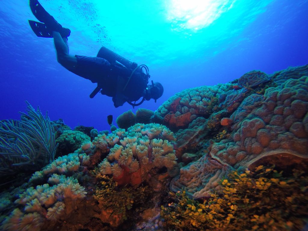 By The Shore SCUBA Instruction LLC - Sunday