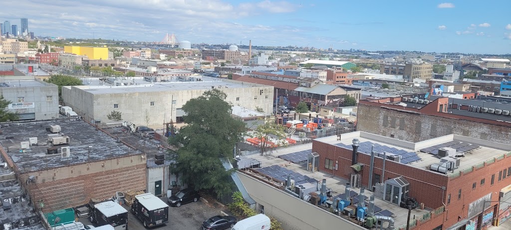 Danbro Studios | 260 Meserole St, Brooklyn, NY 11206, USA | Phone: (718) 273-9379