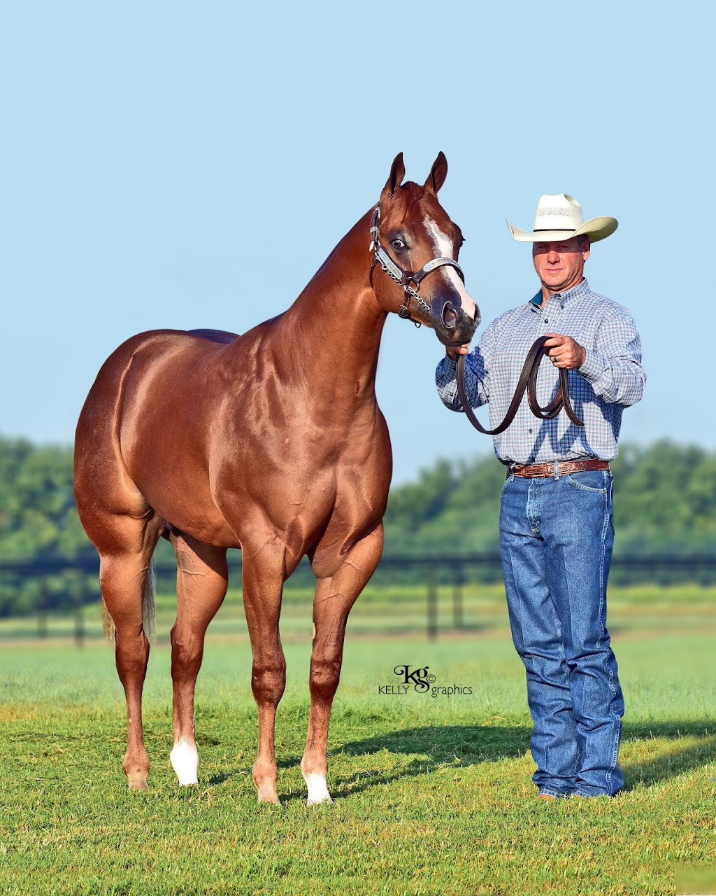 Finish First Equine & Bull Supplements | 1212 N Frisco Ave, Henryetta, OK 74437, USA | Phone: (918) 652-1834