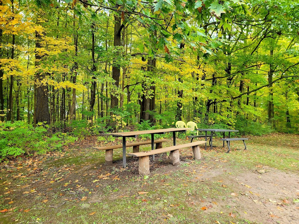 Ann Arbor Mennonite Guest Home | 2000 Dhu Varren Rd, Ann Arbor, MI 48105, USA | Phone: (734) 222-6233