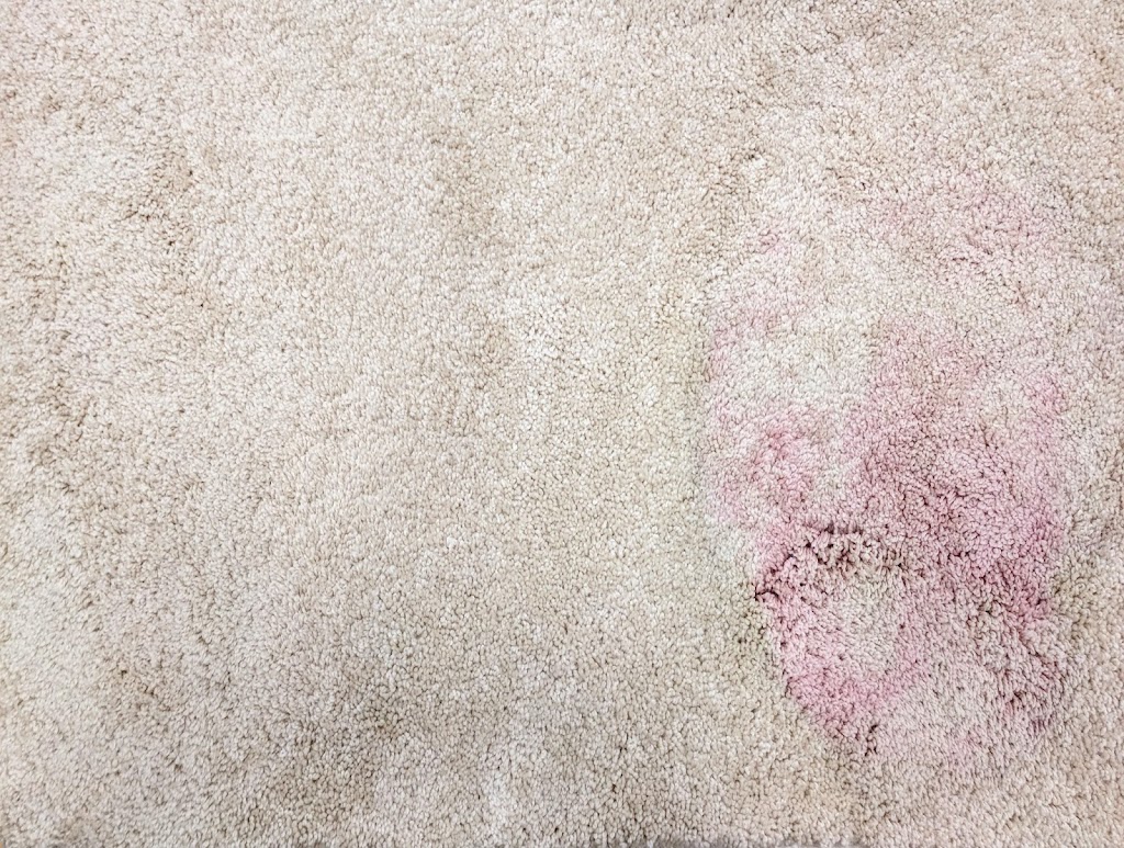 Color Correct Carpet | 681 Andrews Dr, Harleysville, PA 19438, USA | Phone: (833) 349-7768