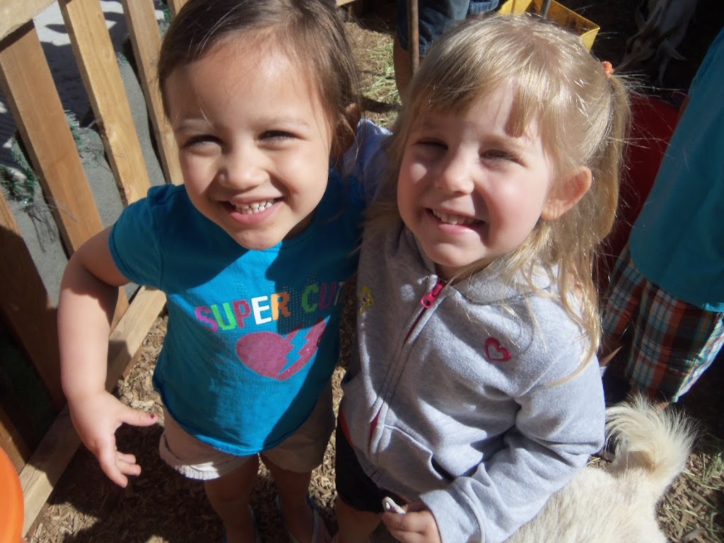 Phoenix Childrens Academy Private Preschool | 1850 W Germann Rd, Chandler, AZ 85286, USA | Phone: (480) 210-9503