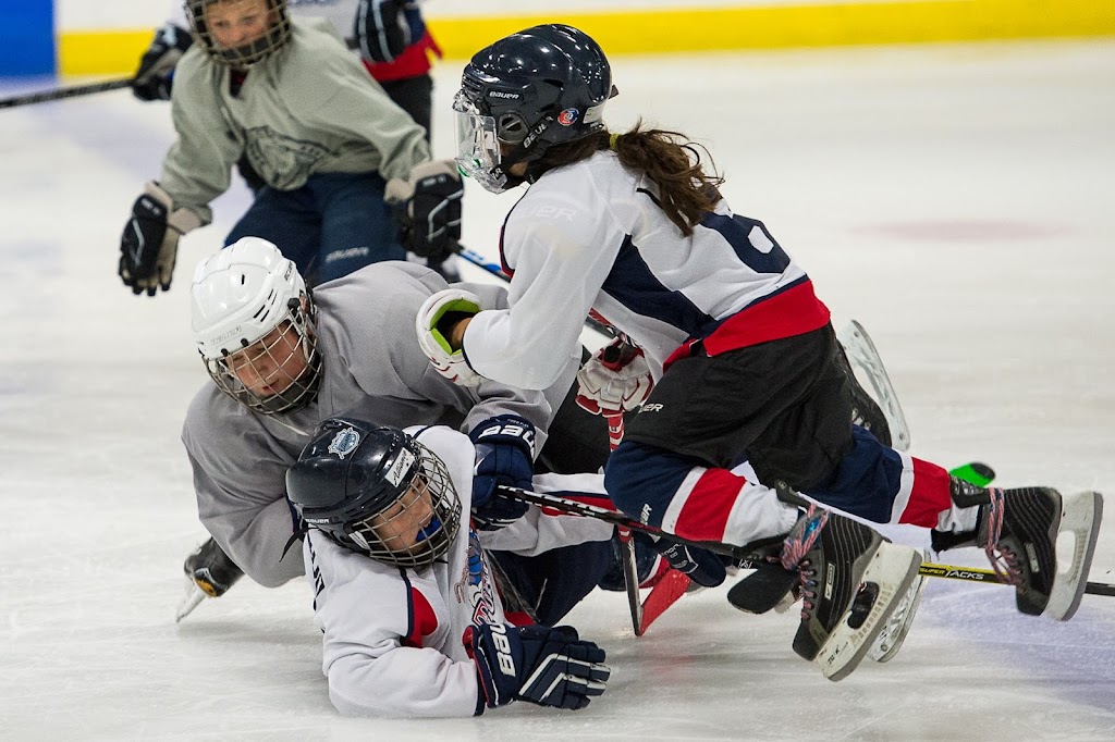 Kendall Ice Arena | 10355 Hammocks Blvd, Miami, FL 33196, USA | Phone: (305) 386-8288