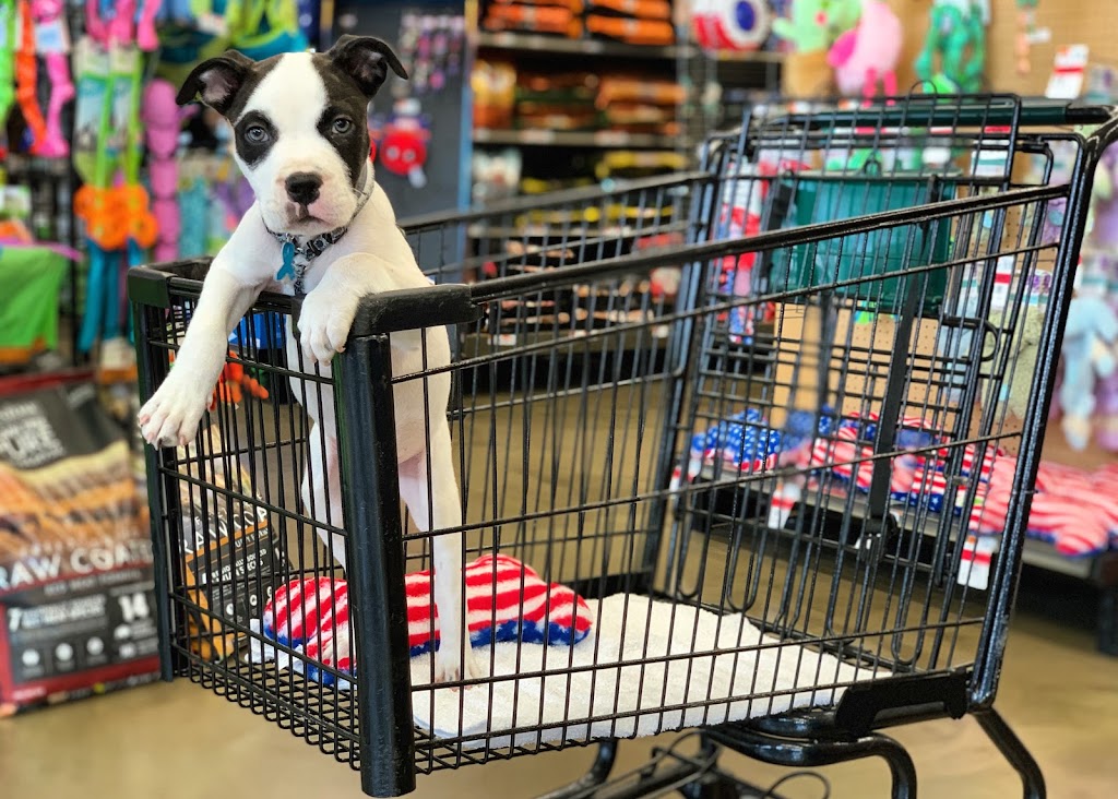 Pet Supplies Plus Valrico | 1937 State Rd 60, Valrico, FL 33594, USA | Phone: (813) 540-0645