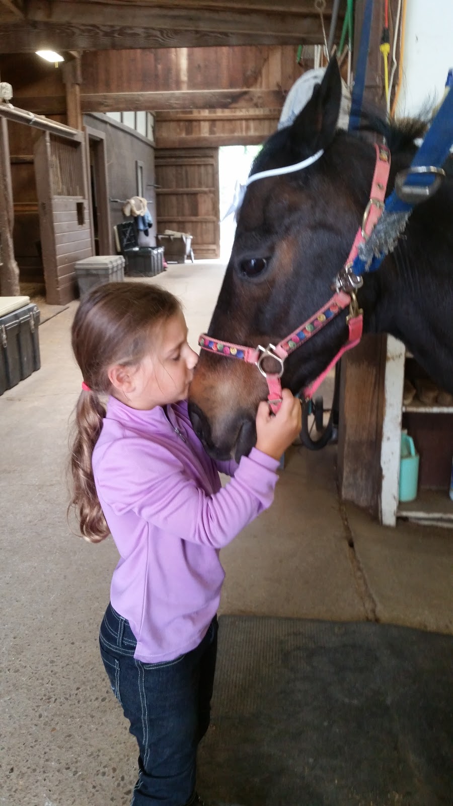 Spring Valley Stables Inc | 212 Warrendale Rd, Mars, PA 16046, USA | Phone: (724) 625-9003