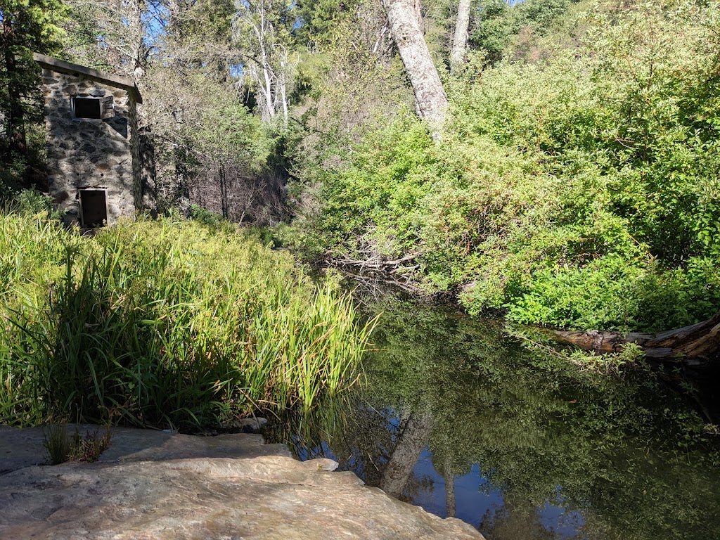 Doane Valley Nature Nature Preserve | Palomar Mountain, CA 92060, USA | Phone: (619) 990-0738
