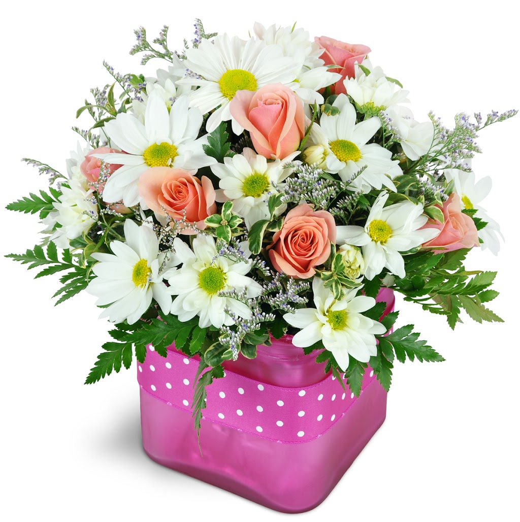 Moorefield Florist | 504 E Cornwallis Dr, Greensboro, NC 27405, USA | Phone: (336) 227-2017