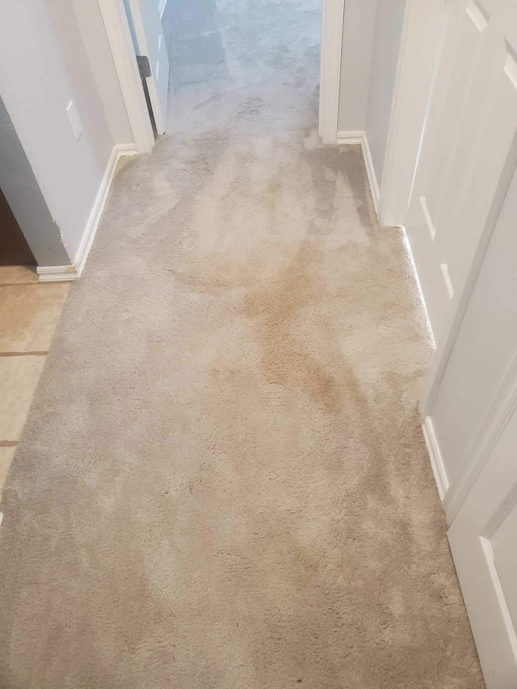 Genesis Carpet Cleaning | 12532 Ridgegate Rd, Yukon, OK 73099, USA | Phone: (405) 577-9390