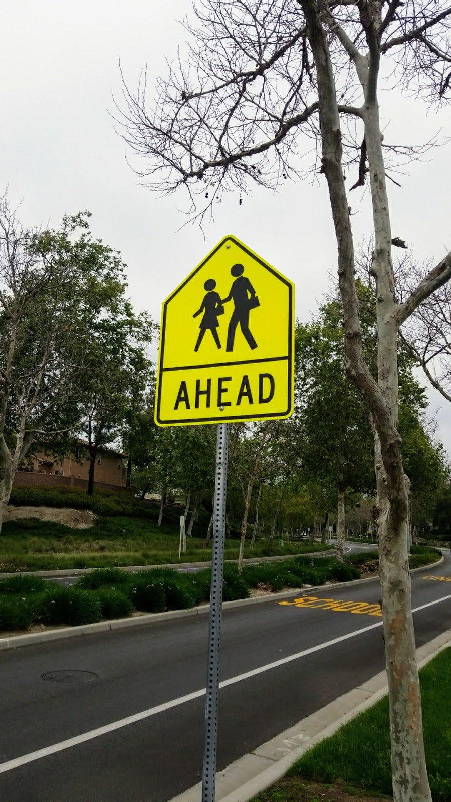 Chaparral Elementary School | 29001 Sienna Pkwy, Ladera Ranch, CA 92694, USA | Phone: (949) 234-5349