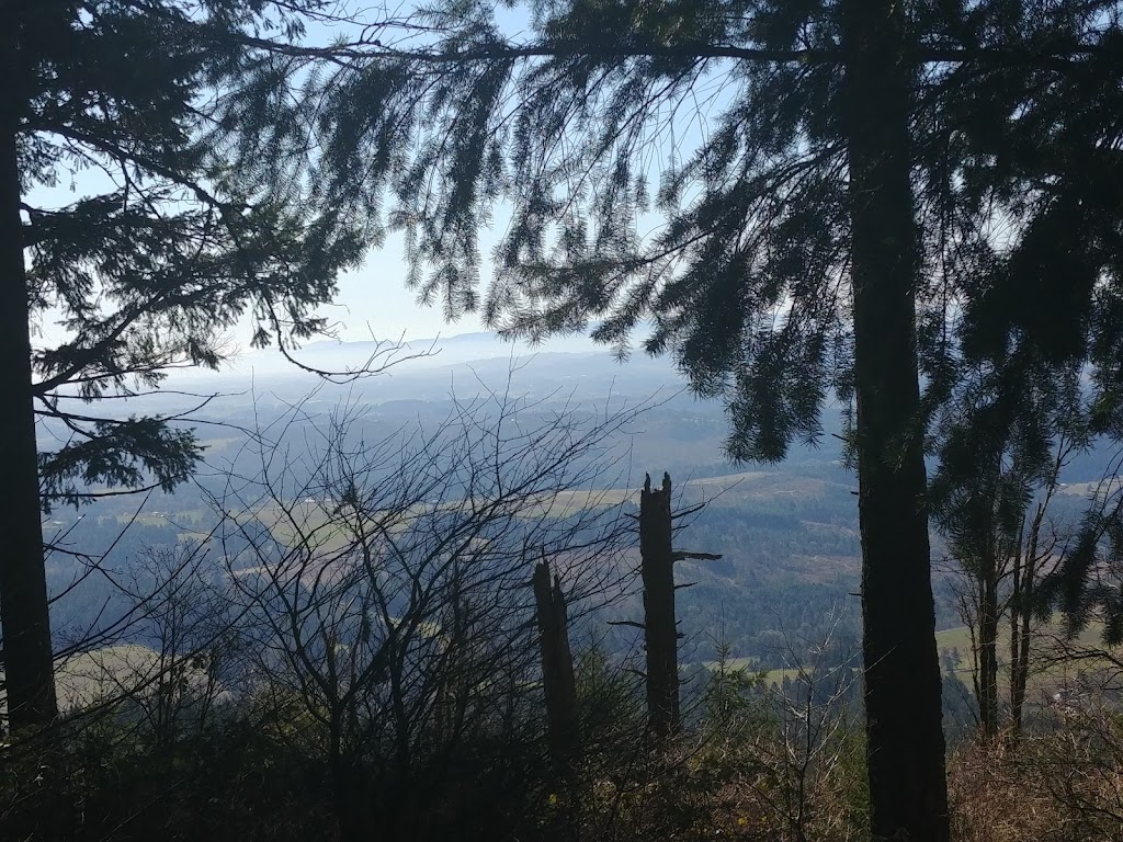 Bald Peak State Scenic Viewpoint | 24730 SW Bald Peak Rd, Hillsboro, OR 97123, USA | Phone: (800) 551-6949