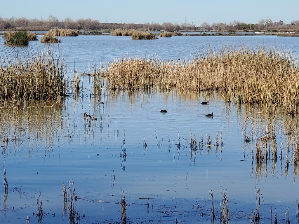 San Joaquin River National Wildlife Refuge | 2714 Dairy Rd, Vernalis, CA 95385, USA | Phone: (209) 826-3508