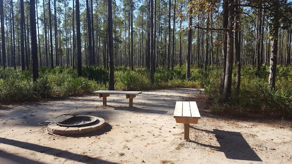 Cary State Forest | 7465 Pavilion Rd, Bryceville, FL 32009, USA | Phone: (904) 266-8398