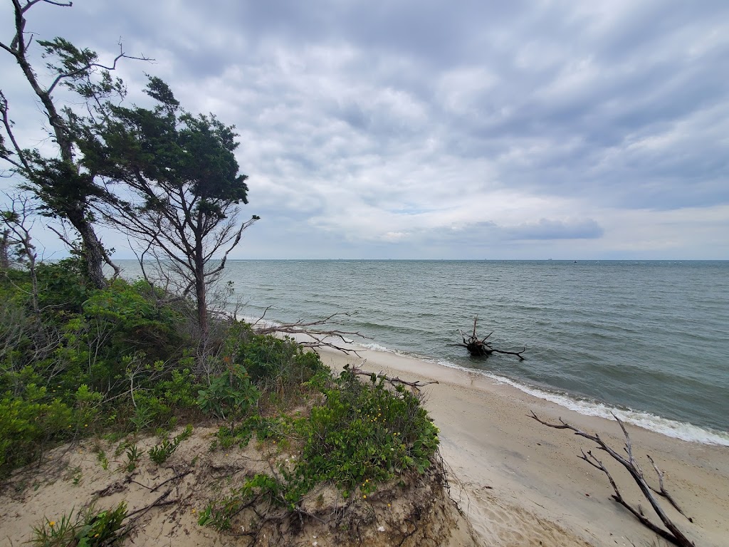 Cape Charles Natural Area Preserve | Cape Charles, VA 23310, USA | Phone: (757) 787-5576