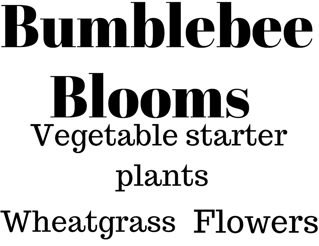 Bumblebee Blooms Farm | 5315 Denver Ave, Spring Hill, FL 34608, USA | Phone: (352) 584-8862