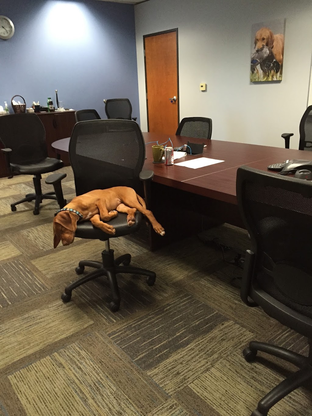 Vetsource | 9500 NE Cascades Pkwy, Portland, OR 97220, USA | Phone: (503) 802-7400