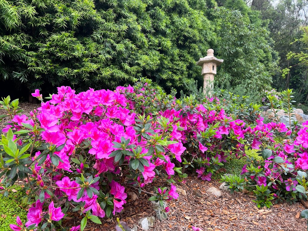 Creative Zen Garden | 1405 San Marino Ave, San Marino, CA 91108, USA | Phone: (626) 818-8527