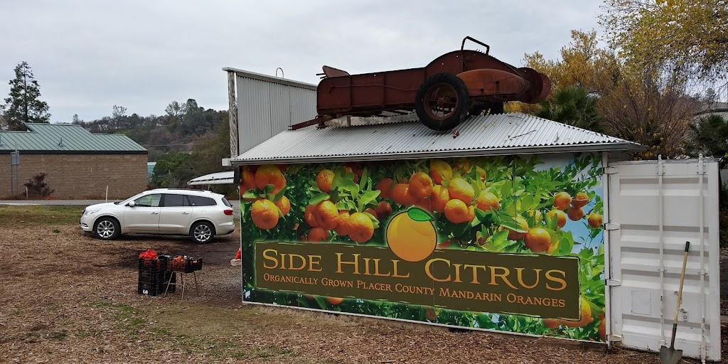 Side Hill Citrus Mandarins | 9200 CA-193, Newcastle, CA 95658, USA | Phone: (916) 343-1098