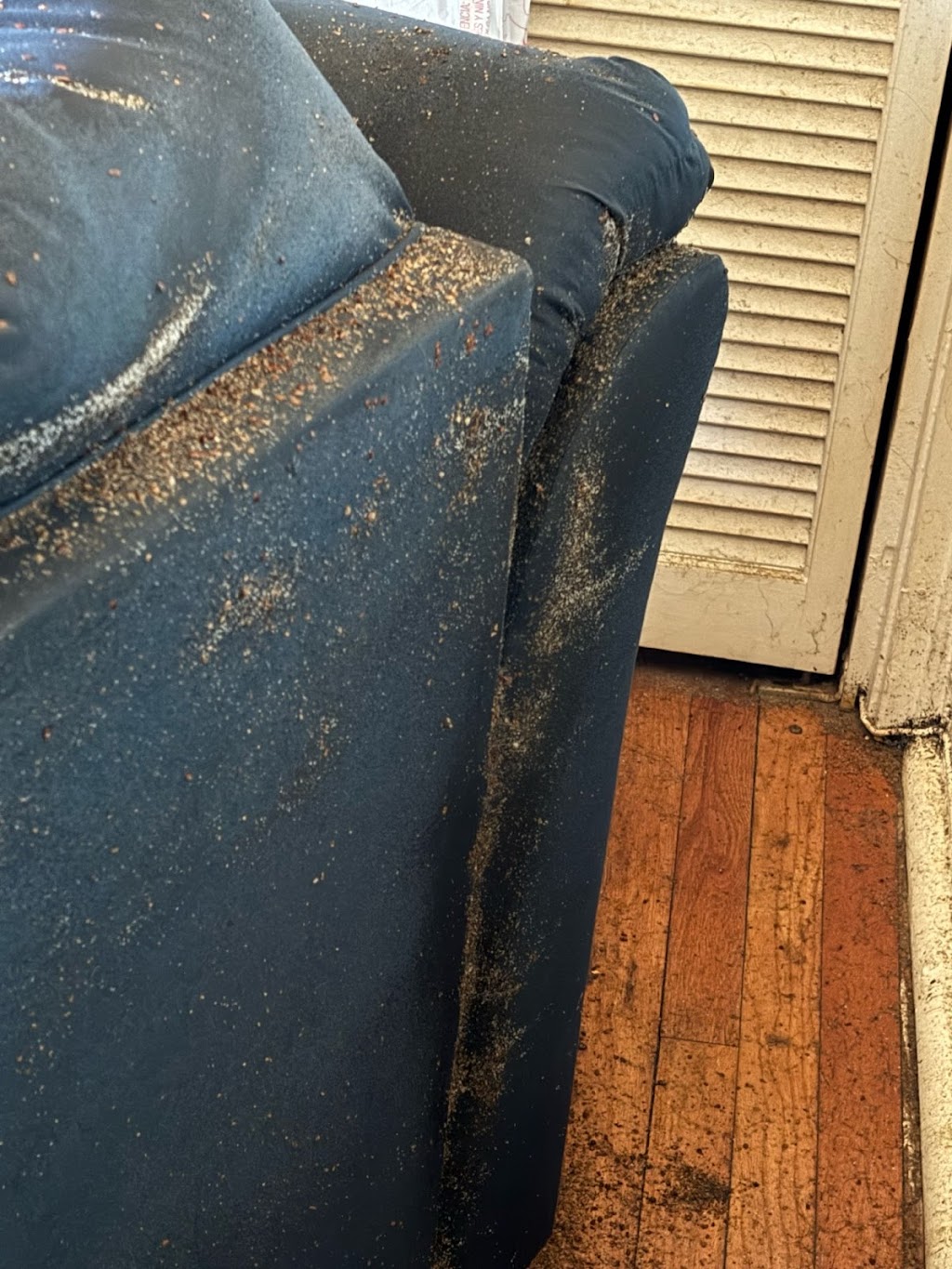 gam exterminating | 324 Clocks Blvd, Massapequa, NY 11758, USA | Phone: (877) 732-2057