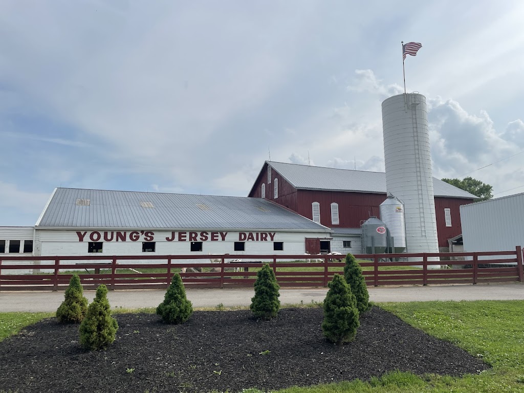 Youngs Jersey Dairy | 6880 Springfield Xenia Rd, Yellow Springs, OH 45387, USA | Phone: (937) 325-0629