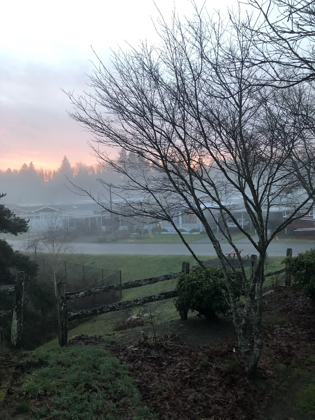 Orchard Bluff Mobile Home | 1345 SE Carl Pickel Dr, Port Orchard, WA 98366, USA | Phone: (360) 895-0693