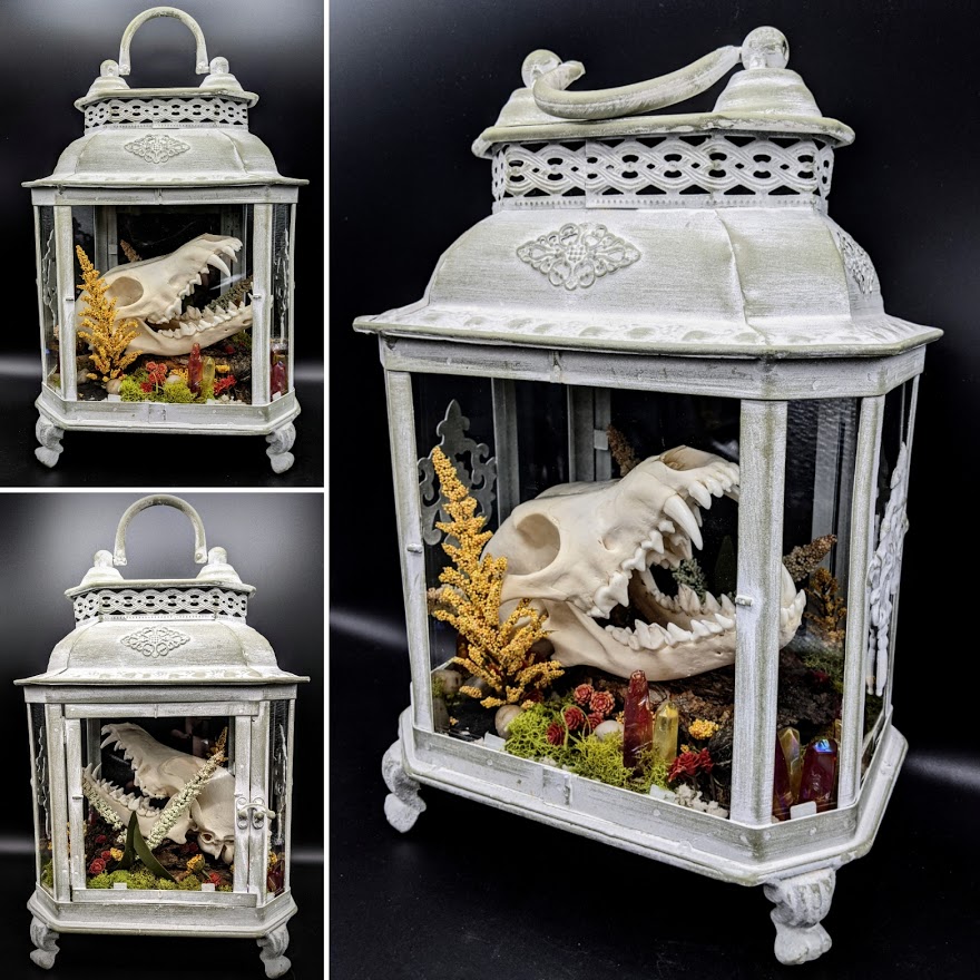 The Golden Curiosity Shop | 17742 S Golden Rd, Golden, CO 80401, USA | Phone: (720) 240-4425