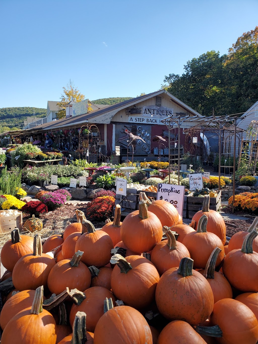 Auntie Els Farm Market | 171 NY-17, Sloatsburg, NY 10974, USA | Phone: (845) 753-2122