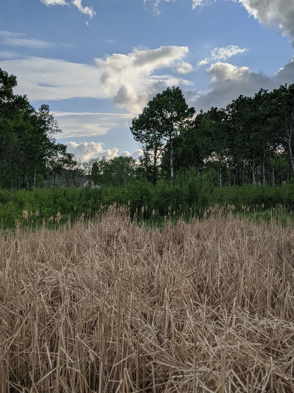 Rudy Kraemer Nature Preserve | 12799 Chowen Ave S, Burnsville, MN 55337, USA | Phone: (952) 895-4521