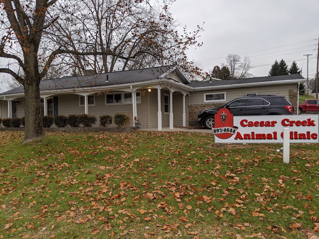 Caesar Creek Animal Clinic | 207 US-42, Waynesville, OH 45068, USA | Phone: (513) 897-6544