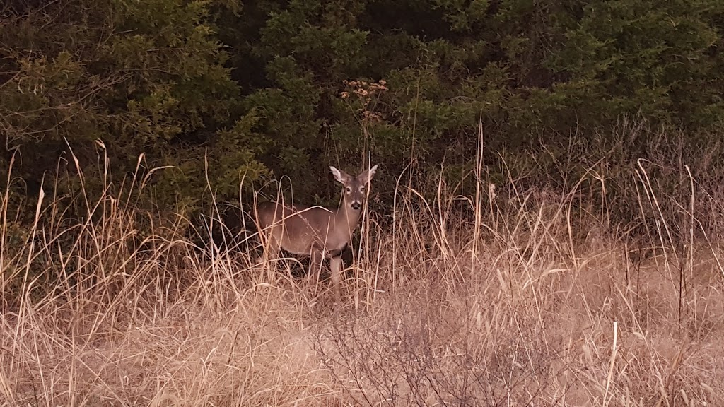 Fortress Rosecrans | Golf Ln, Murfreesboro, TN 37129, USA | Phone: (615) 893-9501