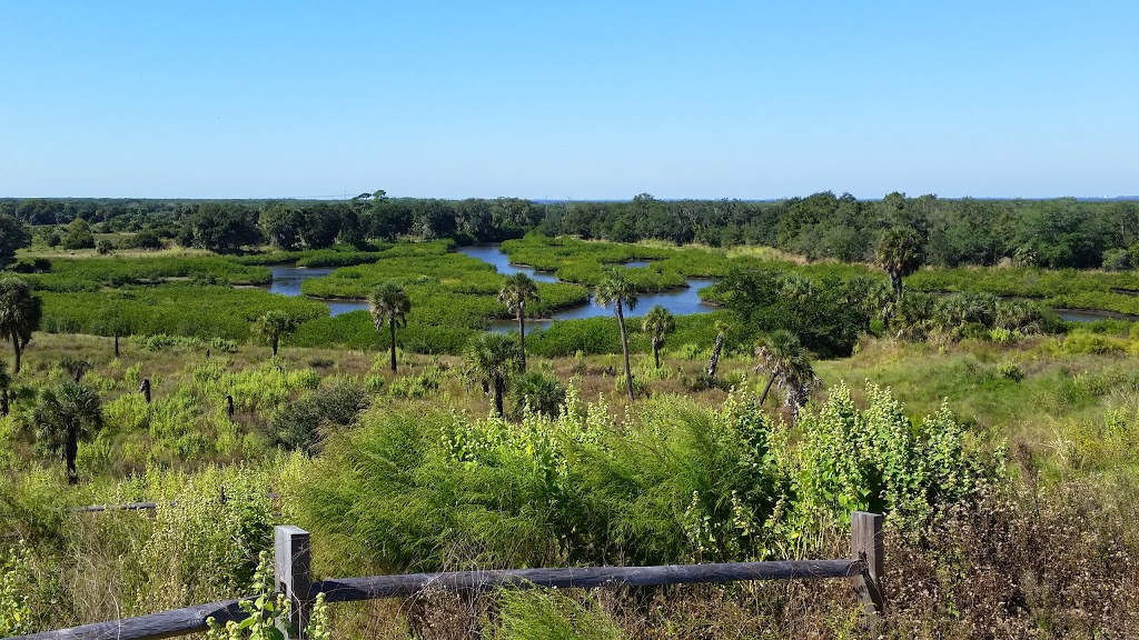 Cockroach Bay Preserve State Park | end of Cockroach Bay Road, Ruskin, FL 33570, USA | Phone: (239) 253-0811