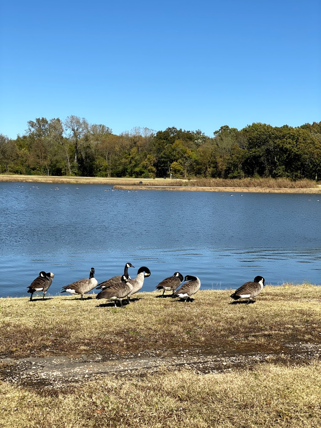 Lee Lake Recreational Area | 2200 SE Adams Blvd, Bartlesville, OK 74006, USA | Phone: (918) 338-4154