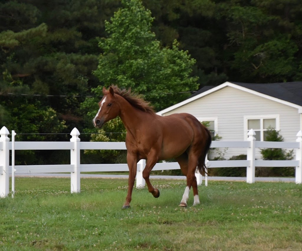 East Wake Animal Hospital | 103 Green Pace Rd, Zebulon, NC 27597, USA | Phone: (919) 825-1373