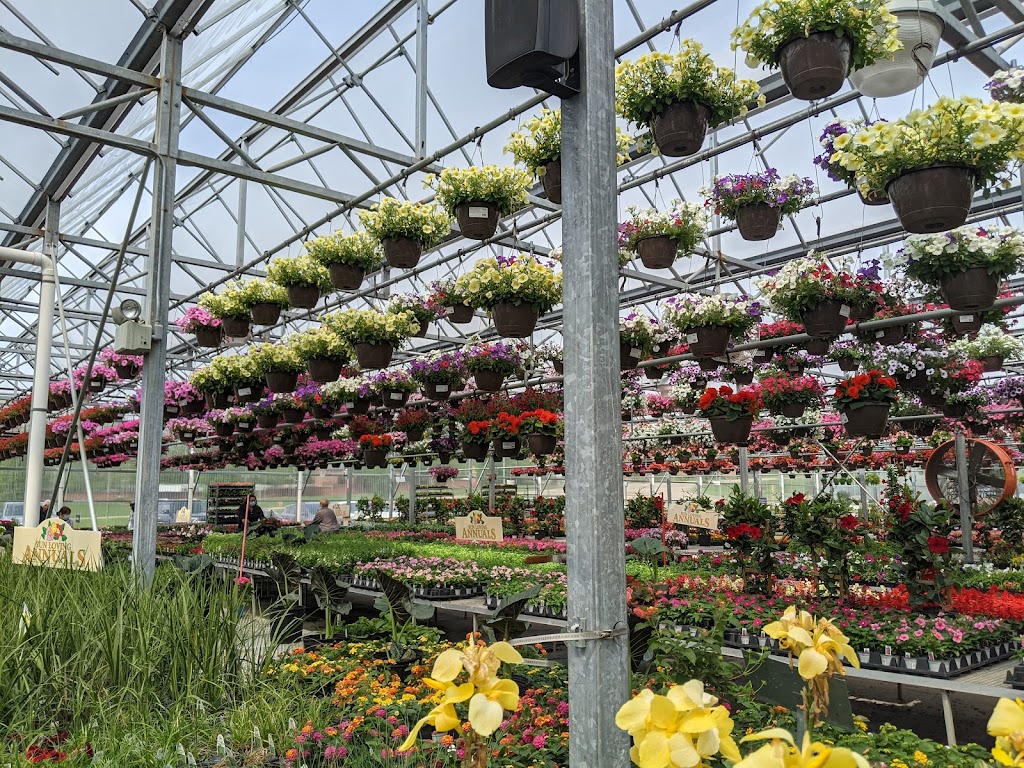 Straders Garden Center | 5350 Riverside Dr, Columbus, OH 43220, USA | Phone: (614) 889-1314