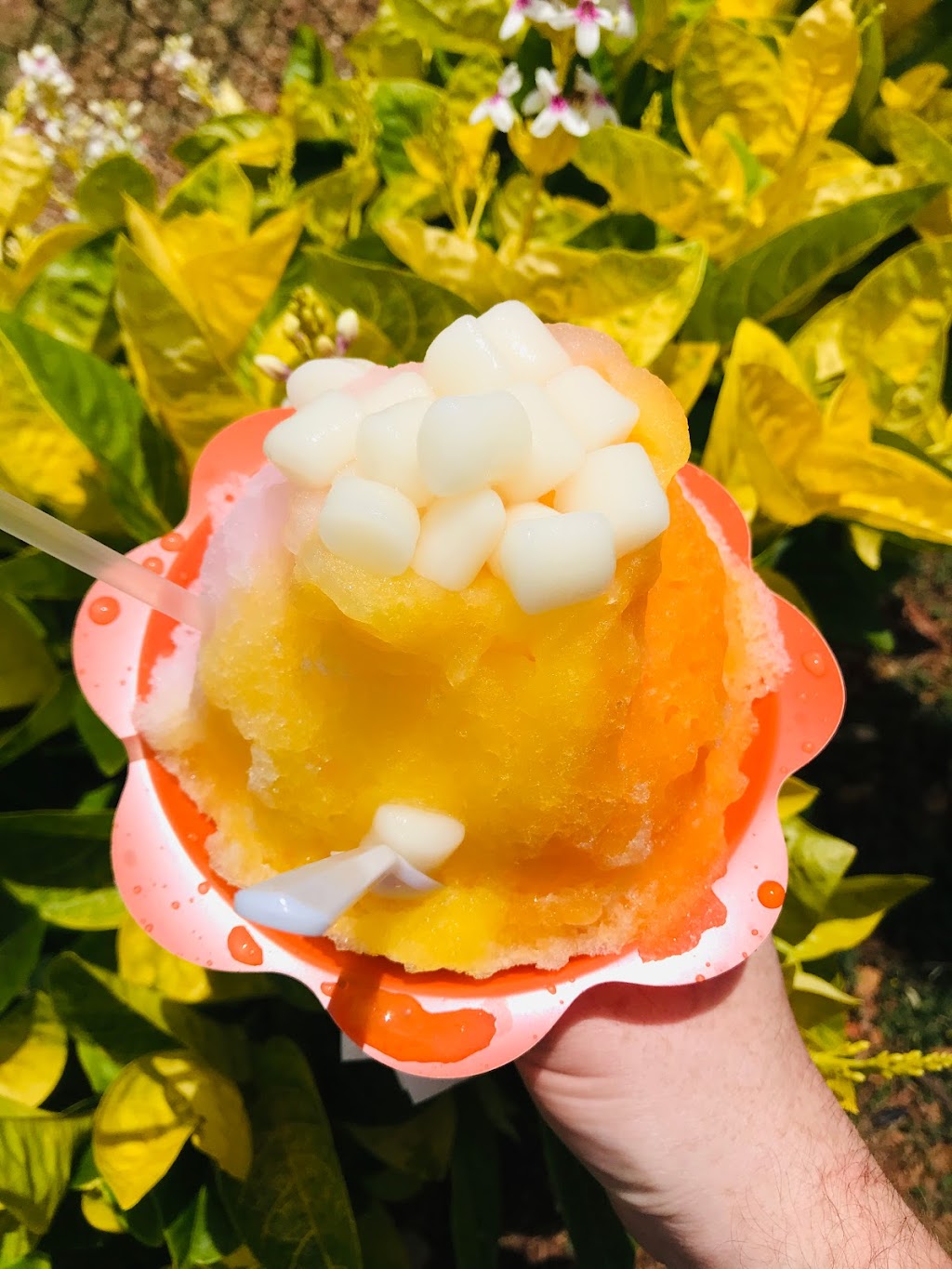 Mountain Magic Shave Ice | 94-817 Lumiaina St, Waipahu, HI 96797, USA | Phone: (808) 681-9582