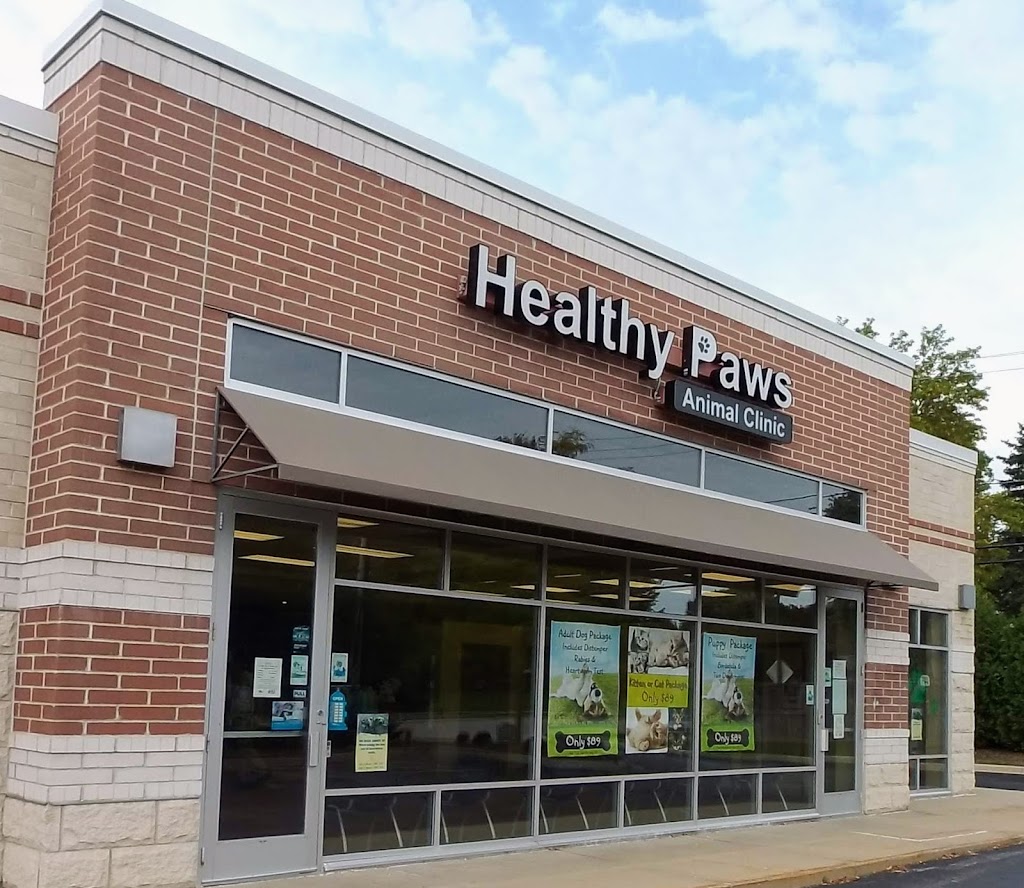 Healthy Paws Animal Clinic-Greenfield | 4805 S 74th St, Greenfield, WI 53220, USA | Phone: (414) 323-7755