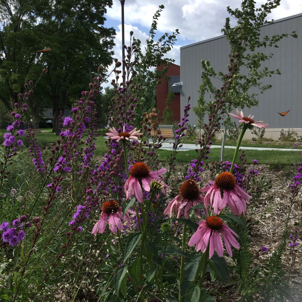 Oxboro Library | 8801 Portland Ave S, Bloomington, MN 55420, USA | Phone: (612) 543-5775