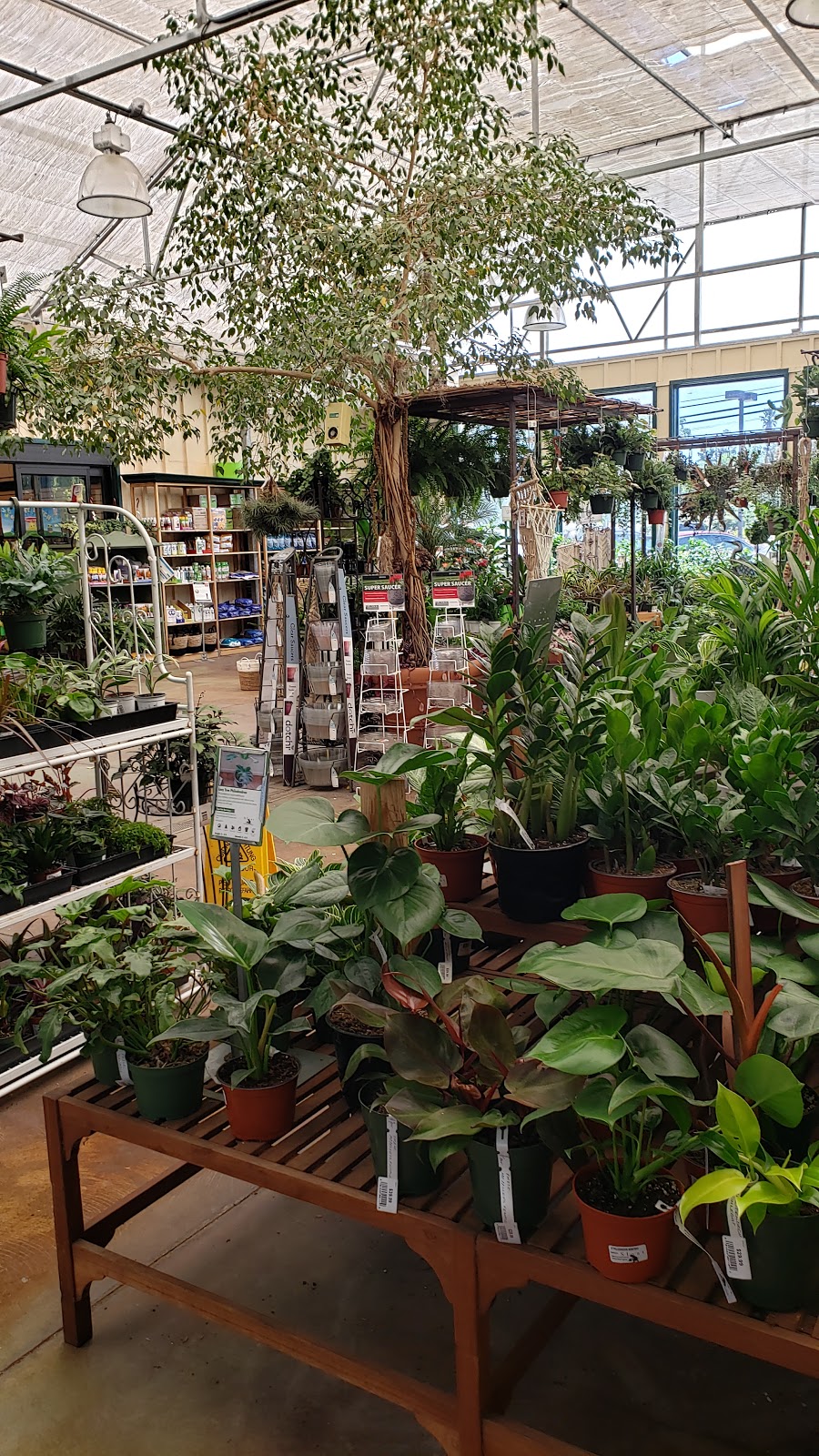 Sloat Garden Center | 1555 Kirker Pass Rd, Concord, CA 94521, USA | Phone: (925) 681-0550