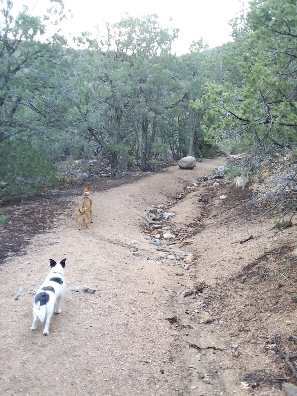 Agua Sarca Trailhead | Tunnel Springs Rd, Placitas, NM 87043 | Phone: (505) 346-3900