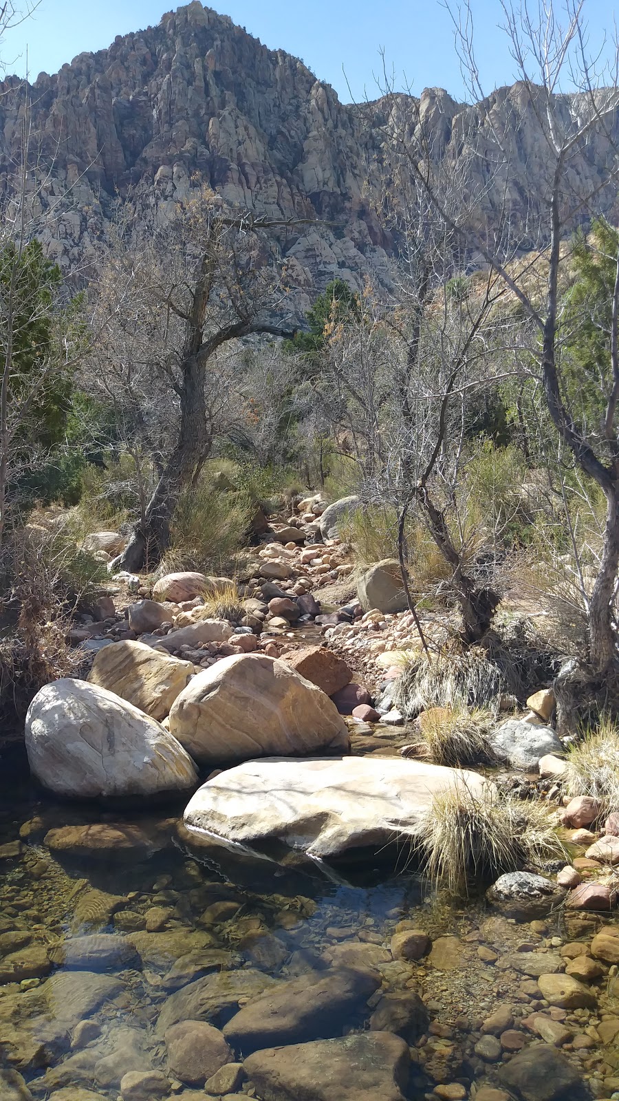 First Creek Trailhead | NV-159, Las Vegas, NV 89161, USA | Phone: (702) 515-5367