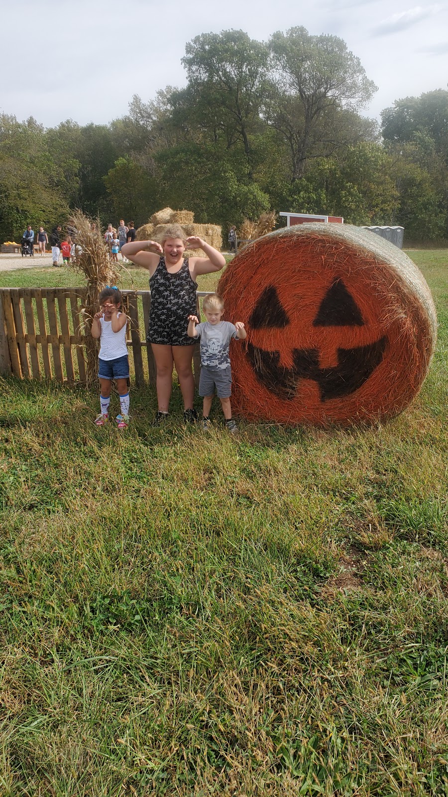 Powell Pumpkin Patch | 25695 Spring Valley Rd, Louisburg, KS 66053, USA | Phone: (913) 879-2477