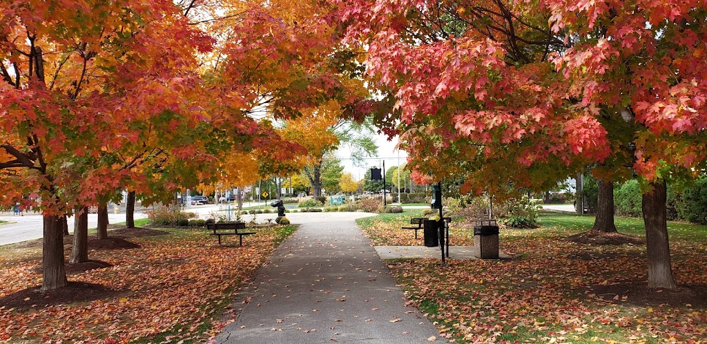 Hillside Village Hall | 425 N Hillside Ave, Hillside, IL 60162, USA | Phone: (708) 449-6450