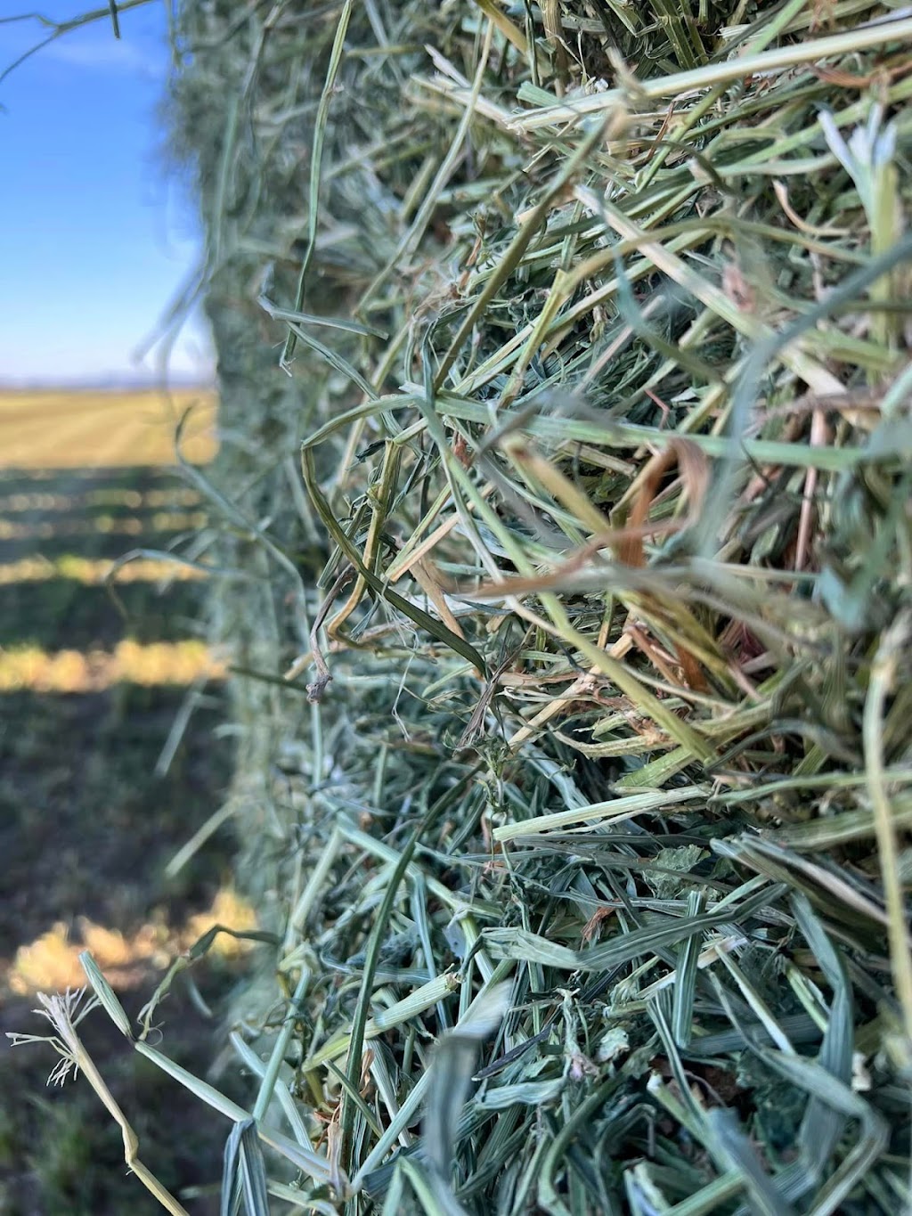 Bales Hay Farm & Ranch Feed Store | 20600 W Beloat Rd, Buckeye, AZ 85326, USA | Phone: (623) 386-2988