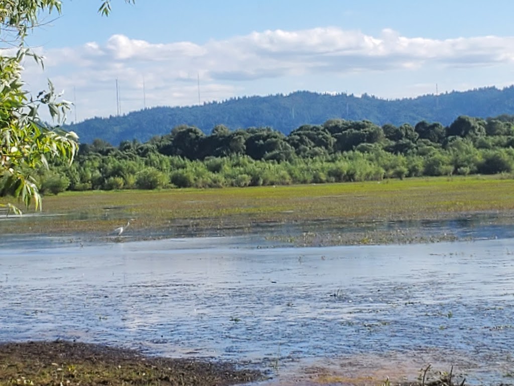 Smith and Bybee Wetlands Natural Area | 5300 N Marine Dr, Portland, OR 97203, USA | Phone: (503) 797-1545